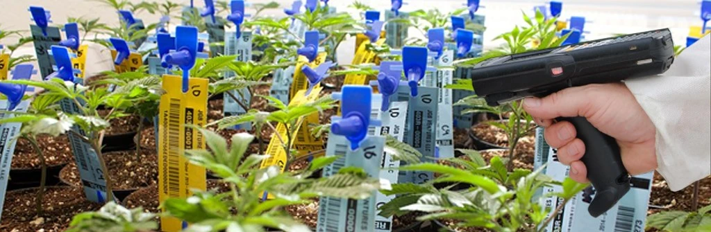 rfid tags for agriculture rfid tags for agriculture